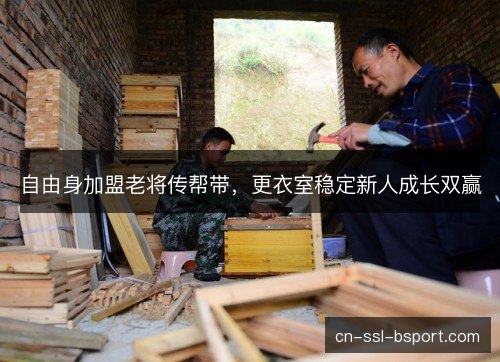 自由身加盟老将传帮带，更衣室稳定新人成长双赢